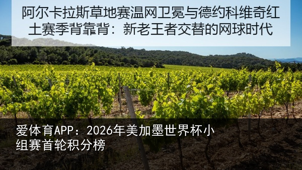 爱体育APP：2026年美加墨世界杯小组赛首轮积分榜