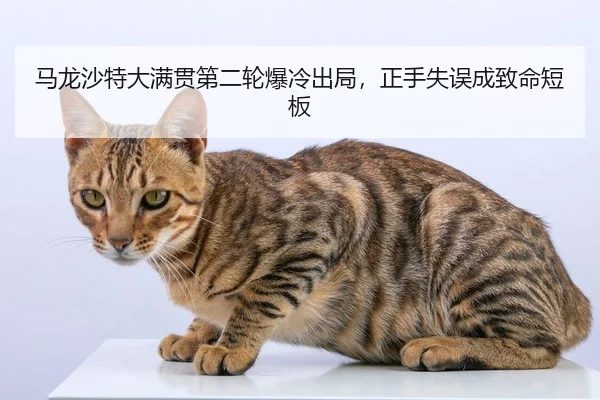 ma-long-sha-te-da-man-guan-di-er-lun-bao-leng-chu-ju-zheng-shou-shi-wu-cheng-zhi-ming-duan-ban-3-293.jpg