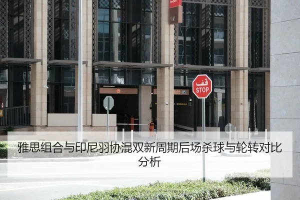 雅思组合与印尼羽协混双新周期后场杀球与轮转对比分析