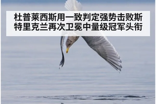 杜普莱西斯用一致判定强势击败斯特里克兰再次卫冕中量级冠军头衔
