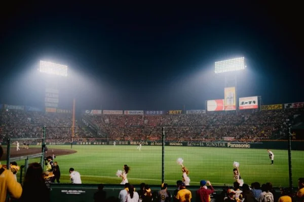 baseball stadium crowd cheering